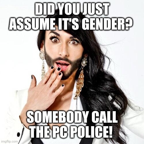 Sarcastic Transsexual | DID YOU JUST ASSUME IT'S GENDER? SOMEBODY CALL THE PC POLICE! | image tagged in sarcastic tranny | made w/ Imgflip meme maker