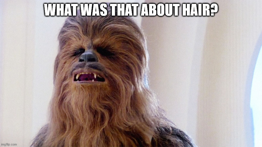 Chewbacca | WHAT WAS THAT ABOUT HAIR? | image tagged in chewbacca | made w/ Imgflip meme maker