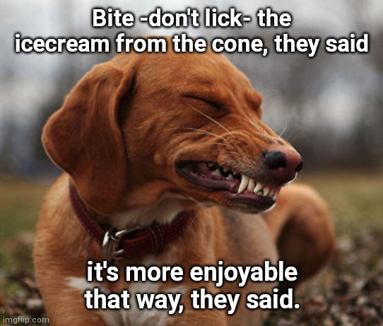 Icecream bite | Bite -don't lick- the icecream from the cone, they said; it's more enjoyable that way, they said. | image tagged in painful smile dog,funny dogs,cute | made w/ Imgflip meme maker