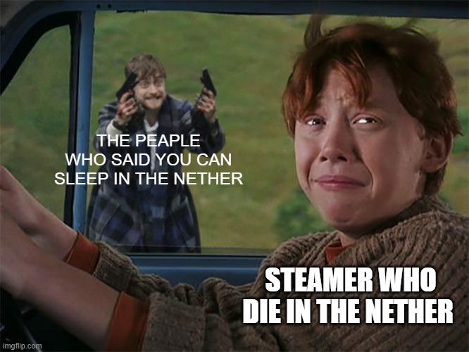 don't sleep steamer | THE PEAPLE WHO SAID YOU CAN SLEEP IN THE NETHER; STEAMER WHO DIE IN THE NETHER | image tagged in harry with guns scared ron | made w/ Imgflip meme maker