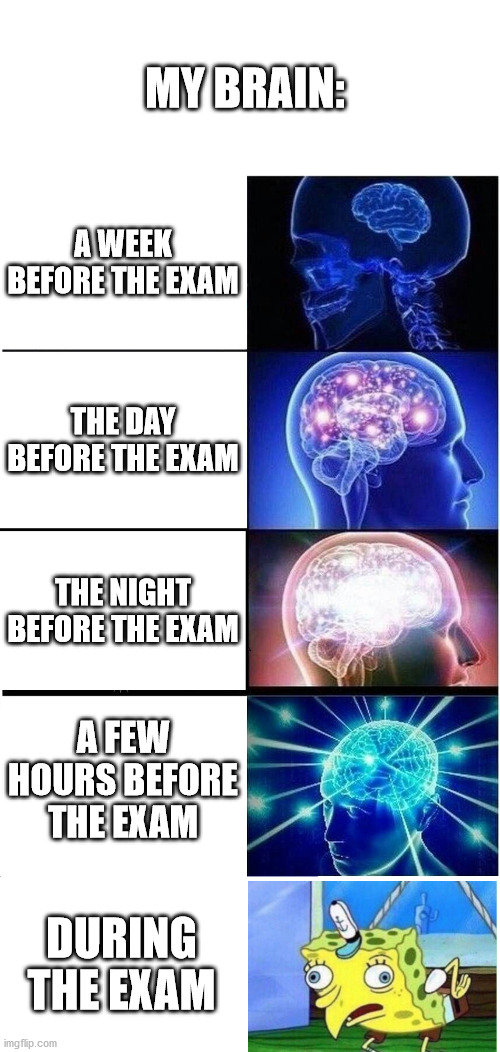 Expanding Brain | MY BRAIN:; A WEEK BEFORE THE EXAM; THE DAY BEFORE THE EXAM; THE NIGHT BEFORE THE EXAM; A FEW HOURS BEFORE THE EXAM; DURING THE EXAM | image tagged in memes,expanding brain,funny | made w/ Imgflip meme maker