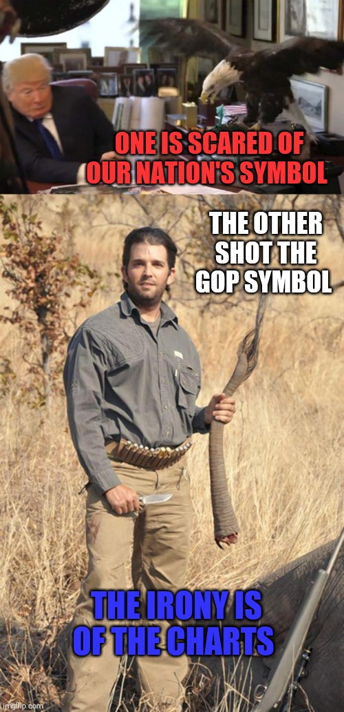 A vote for trump is vote against America | ONE IS SCARED OF OUR NATION'S SYMBOL; THE OTHER SHOT THE GOP SYMBOL; THE IRONY IS OF THE CHARTS | image tagged in memes,donald trump the clown,coward,donald trump jr,idiot,scumbag republicans | made w/ Imgflip meme maker