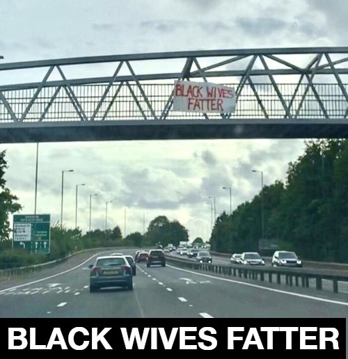 Black Wives FATTER | image tagged in black lives matter,fat chicks,fat black chicks,really fat girl,yo mamas so fat,yo mama | made w/ Imgflip meme maker