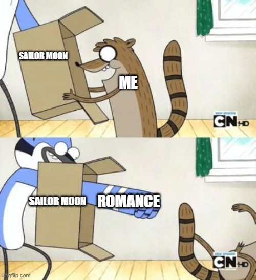 Mordecai Punches Rigby Through a Box | SAILOR MOON; ME; ROMANCE; SAILOR MOON | image tagged in mordecai punches rigby through a box,anime,anime memes,animeme | made w/ Imgflip meme maker