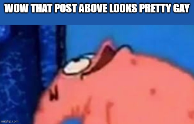 Sometimes ironic | WOW THAT POST ABOVE LOOKS PRETTY GAY | image tagged in patrick star | made w/ Imgflip meme maker