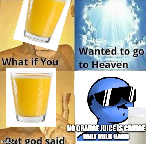 orange is criiinge drink milk | NO ORANGE JUICE IS CRINGE
ONLY MILK GANG | image tagged in what if you wanted to go to heaven | made w/ Imgflip meme maker