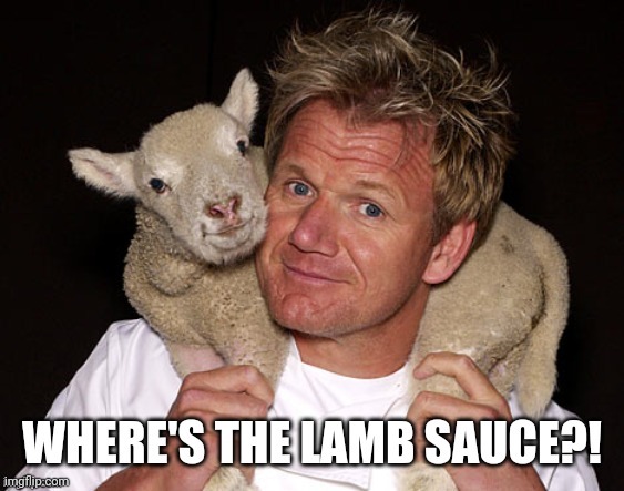 It's in your hands, Gordon! | image tagged in gordon ramsay,lamb sauce | made w/ Imgflip meme maker