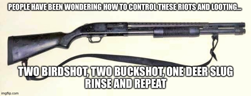 Sound advise | PEOPLE HAVE BEEN WONDERING HOW TO CONTROL THESE RIOTS AND LOOTING…; TWO BIRDSHOT, TWO BUCKSHOT, ONE DEER SLUG
RINSE AND REPEAT | image tagged in guns | made w/ Imgflip meme maker