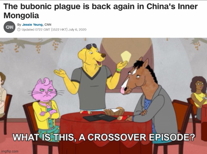 The BUBONIC PLAGUE is back | image tagged in what is this a crossover episode,memes,funny,plague,crossover | made w/ Imgflip meme maker