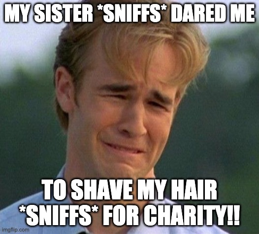 1990s First World Problems | MY SISTER *SNIFFS* DARED ME; TO SHAVE MY HAIR *SNIFFS* FOR CHARITY!! | image tagged in memes,1990s first world problems | made w/ Imgflip meme maker
