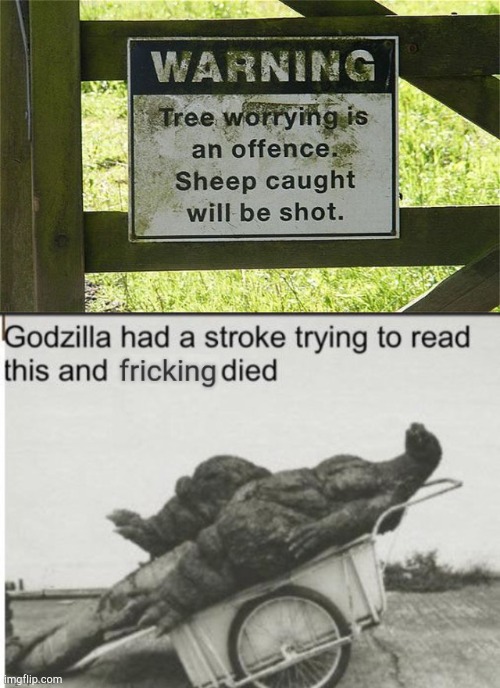 Image title | image tagged in godzilla had a stroke trying to read this and fricking died,sign fail,memes,funny,fail | made w/ Imgflip meme maker