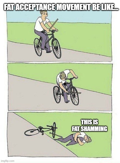 tHiS iS fAt ShAmInG | FAT ACCEPTANCE MOVEMENT BE LIKE... THIS IS FAT SHAMMING | image tagged in bike fall | made w/ Imgflip meme maker