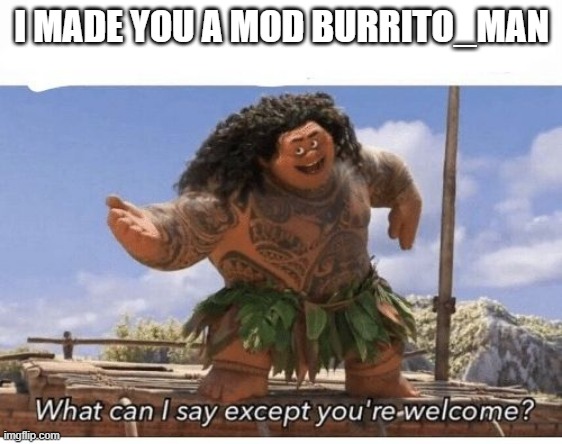 Welcome |  I MADE YOU A MOD BURRITO_MAN | image tagged in what can i say except you're welcome | made w/ Imgflip meme maker