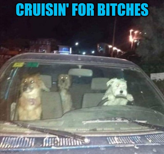 Joyride | CRUISIN' FOR BITCHES | image tagged in joyride | made w/ Imgflip meme maker