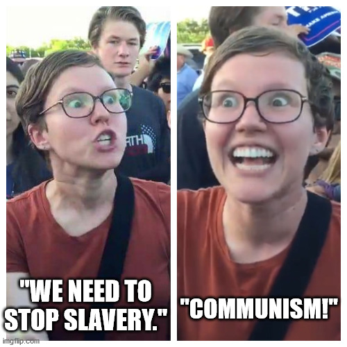 Last time I checked Communism IS slavery. | "WE NEED TO STOP SLAVERY."; "COMMUNISM!" | image tagged in social justice warrior hypocrisy,communism | made w/ Imgflip meme maker