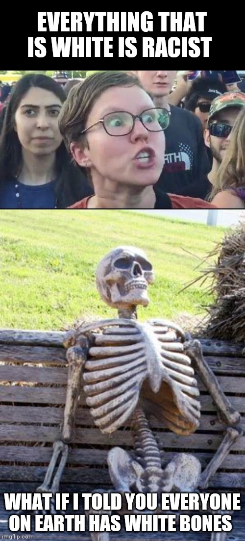 EVERYTHING THAT IS WHITE IS RACIST; WHAT IF I TOLD YOU EVERYONE ON EARTH HAS WHITE BONES | image tagged in memes,waiting skeleton,angry liberal | made w/ Imgflip meme maker