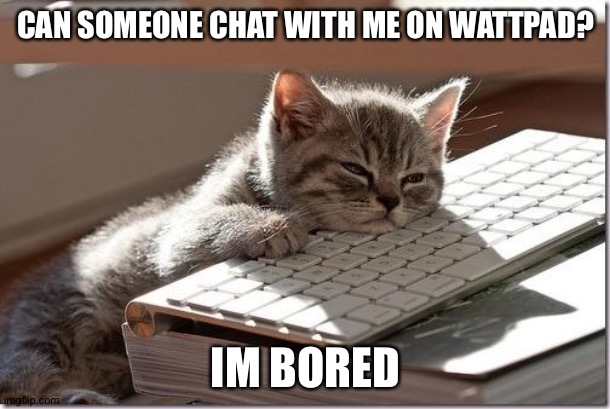 Bored Keyboard Cat | CAN SOMEONE CHAT WITH ME ON WATTPAD? IM BORED | image tagged in bored keyboard cat | made w/ Imgflip meme maker