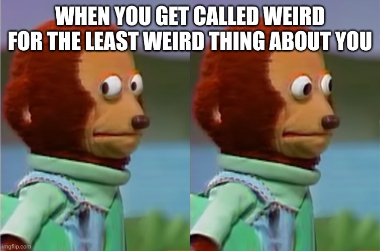 puppet Monkey looking away | WHEN YOU GET CALLED WEIRD FOR THE LEAST WEIRD THING ABOUT YOU | image tagged in puppet monkey looking away | made w/ Imgflip meme maker