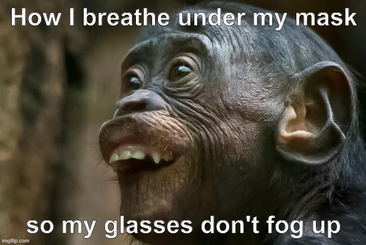 How I breathe under my mask | How I breathe under my mask; so my glasses don't fog up | image tagged in covid-19 | made w/ Imgflip meme maker
