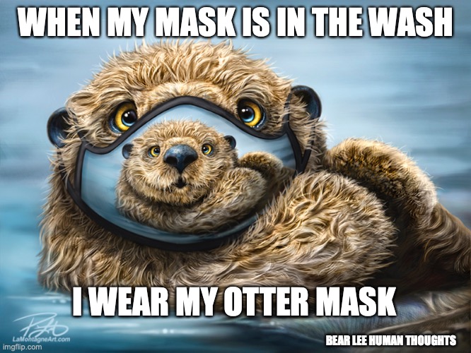 otter mask | WHEN MY MASK IS IN THE WASH; I WEAR MY OTTER MASK; BEAR LEE HUMAN THOUGHTS | image tagged in otter,covid-19,mask | made w/ Imgflip meme maker