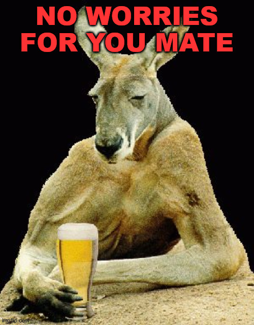 No Worries Mate | NO WORRIES FOR YOU MATE | image tagged in no worries mate | made w/ Imgflip meme maker