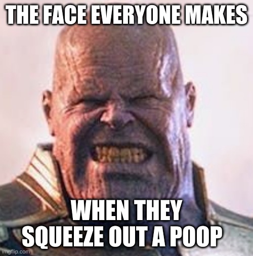 thanos | THE FACE EVERYONE MAKES; WHEN THEY SQUEEZE OUT A POOP | image tagged in memes,funny,fun | made w/ Imgflip meme maker