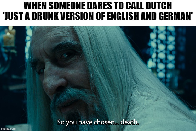 How to trigger Dutchmen | WHEN SOMEONE DARES TO CALL DUTCH 'JUST A DRUNK VERSION OF ENGLISH AND GERMAN' | image tagged in language,memes,relatable,funny,lol,world | made w/ Imgflip meme maker
