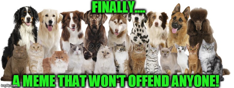 PC | FINALLY.... A MEME THAT WON'T OFFEND ANYONE! | image tagged in fun,cute,dogs,cats,pc | made w/ Imgflip meme maker