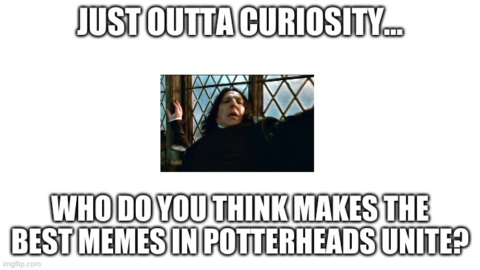 Who? | JUST OUTTA CURIOSITY... WHO DO YOU THINK MAKES THE BEST MEMES IN POTTERHEADS UNITE? | image tagged in transparent | made w/ Imgflip meme maker