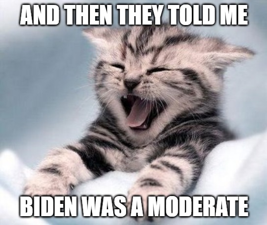 Sat Wut? | AND THEN THEY TOLD ME; BIDEN WAS A MODERATE | image tagged in biden,memes,2020,cats,funny,fun | made w/ Imgflip meme maker