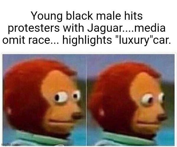 Monkey Puppet Meme | Young black male hits protesters with Jaguar....media omit race... highlights "luxury"car. | image tagged in memes,monkey puppet | made w/ Imgflip meme maker