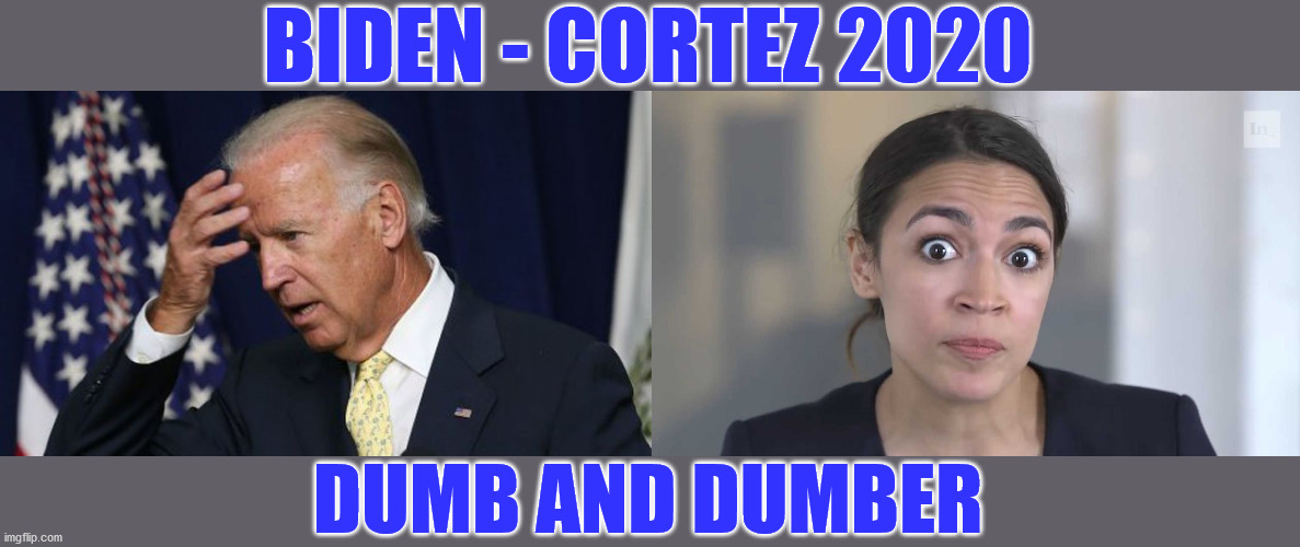 biden cortez 2020 | BIDEN - CORTEZ 2020; DUMB AND DUMBER | image tagged in joe biden worries,aoc stumped | made w/ Imgflip meme maker