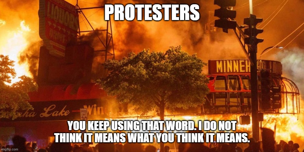 Protesters | PROTESTERS; YOU KEEP USING THAT WORD. I DO NOT THINK IT MEANS WHAT YOU THINK IT MEANS. | image tagged in rioters | made w/ Imgflip meme maker