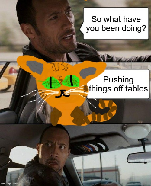 The Rock Driving Meme | So what have you been doing? Pushing things off tables | image tagged in memes,the rock driving | made w/ Imgflip meme maker