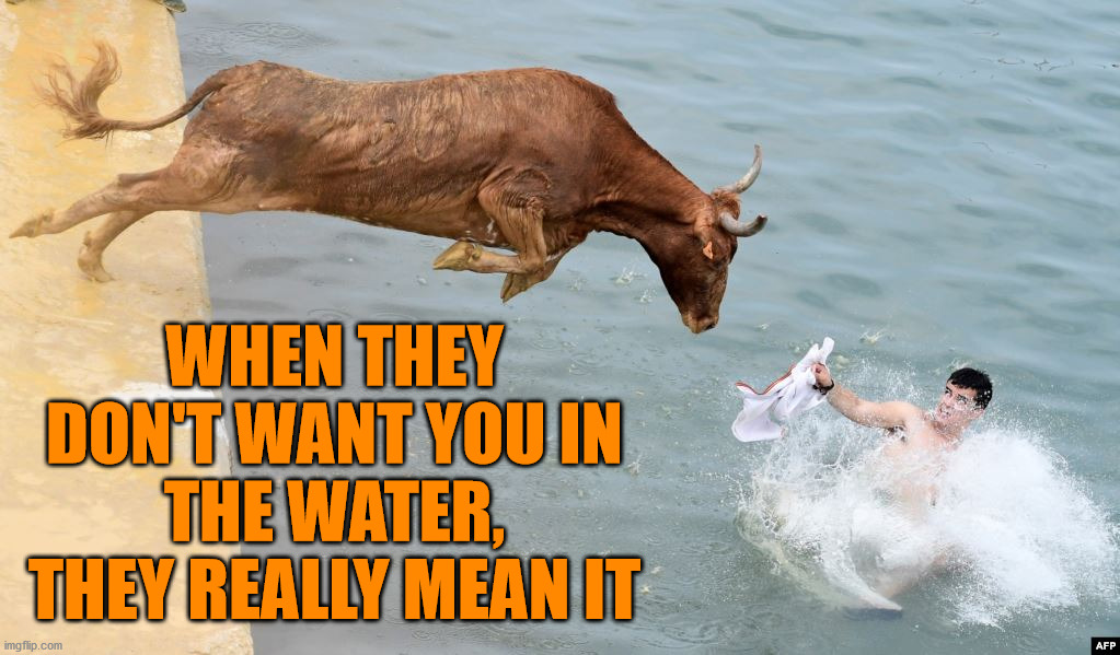 Steer clear of the water | WHEN THEY DON'T WANT YOU IN THE WATER, THEY REALLY MEAN IT | image tagged in swimming,get out | made w/ Imgflip meme maker