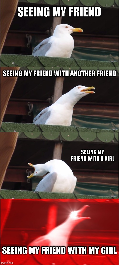 Inhaling Seagull | SEEING MY FRIEND; SEEING MY FRIEND WITH ANOTHER FRIEND; SEEING MY FRIEND WITH A GIRL; SEEING MY FRIEND WITH MY GIRL | image tagged in memes,inhaling seagull | made w/ Imgflip meme maker