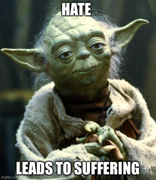 Star Wars Yoda Meme | HATE LEADS TO SUFFERING | image tagged in memes,star wars yoda | made w/ Imgflip meme maker