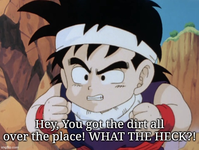Gohan "Do I look like.." (DBZ) | Hey, You got the dirt all over the place! WHAT THE HECK?! | image tagged in gohan do i look like dbz | made w/ Imgflip meme maker