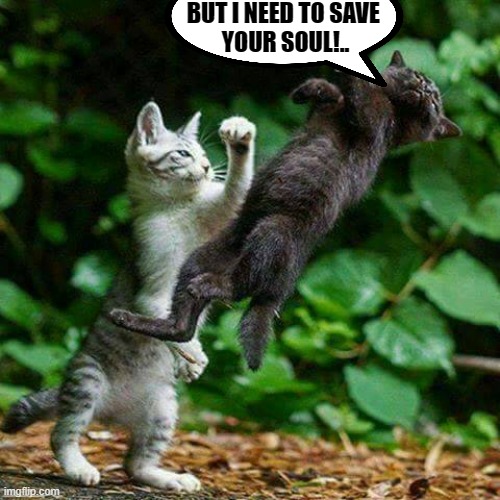 Cat Fight | BUT I NEED TO SAVE 
YOUR SOUL!.. | image tagged in cat fight | made w/ Imgflip meme maker