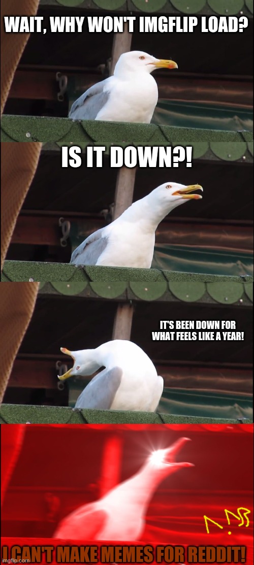 Was it down for anyone else?! | WAIT, WHY WON'T IMGFLIP LOAD? IS IT DOWN?! IT'S BEEN DOWN FOR WHAT FEELS LIKE A YEAR! I CAN'T MAKE MEMES FOR REDDIT! | image tagged in memes,inhaling seagull | made w/ Imgflip meme maker
