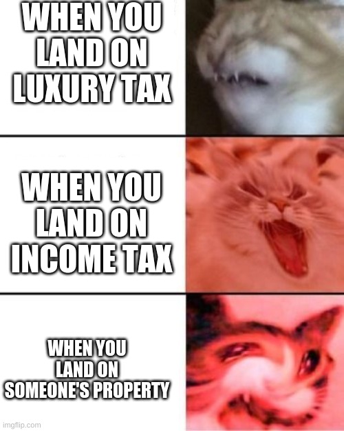 In Monopoly: | WHEN YOU LAND ON LUXURY TAX; WHEN YOU LAND ON INCOME TAX; WHEN YOU LAND ON SOMEONE'S PROPERTY | image tagged in monopoly,distorted cats | made w/ Imgflip meme maker