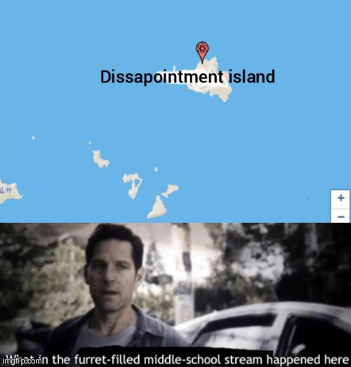 D I S A P P O I N T M E N T I S L A N D | image tagged in disappointment island,what in the furret filled middle school stream happened here | made w/ Imgflip meme maker