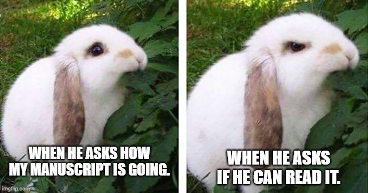 When you're a writer and you have rabbits... | WHEN HE ASKS IF HE CAN READ IT. WHEN HE ASKS HOW MY MANUSCRIPT IS GOING. | image tagged in angry bunny,writing,funny memes | made w/ Imgflip meme maker