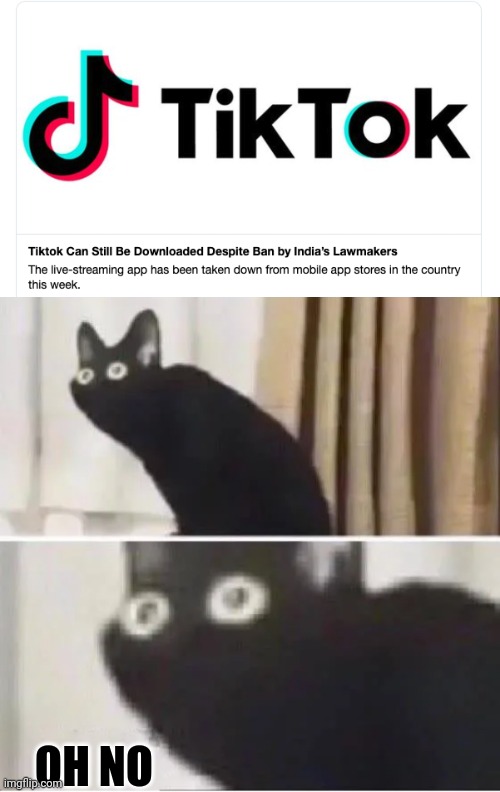 It's not over yet! | OH NO | image tagged in oh no black cat | made w/ Imgflip meme maker