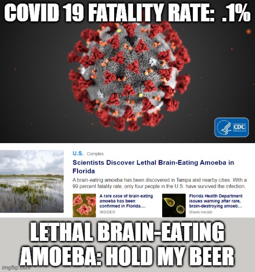 Next For 2020: Lethal Brain-Eating Amoeba! | COVID 19 FATALITY RATE:  .1%; LETHAL BRAIN-EATING AMOEBA: HOLD MY BEER | image tagged in covid 19,memes,2020,hold my beer | made w/ Imgflip meme maker