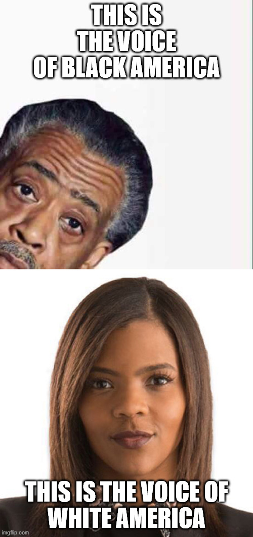 Any Questions? | THIS IS THE VOICE
OF BLACK AMERICA; THIS IS THE VOICE OF
WHITE AMERICA | image tagged in al sharpton,candace owens,race bait | made w/ Imgflip meme maker