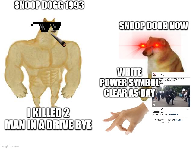 Snoop dogg has fallen | SNOOP DOGG 1993; SNOOP DOGG NOW; WHITE POWER SYMBOL CLEAR AS DAY; I KILLED 2 MAN IN A DRIVE BYE | image tagged in strong doge weak doge,snoop dogg,white power,funny | made w/ Imgflip meme maker
