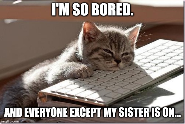 Bored Keyboard Cat | I'M SO BORED. AND EVERYONE EXCEPT MY SISTER IS ON... | image tagged in bored keyboard cat | made w/ Imgflip meme maker