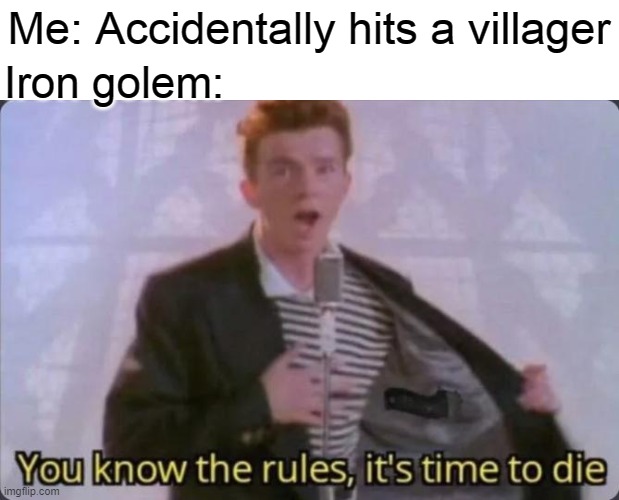 You know the rules, it's time to die | Me: Accidentally hits a villager; Iron golem: | image tagged in you know the rules it's time to die | made w/ Imgflip meme maker