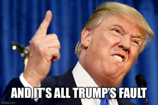 Donald Trump | AND IT’S ALL TRUMP’S FAULT | image tagged in donald trump | made w/ Imgflip meme maker
